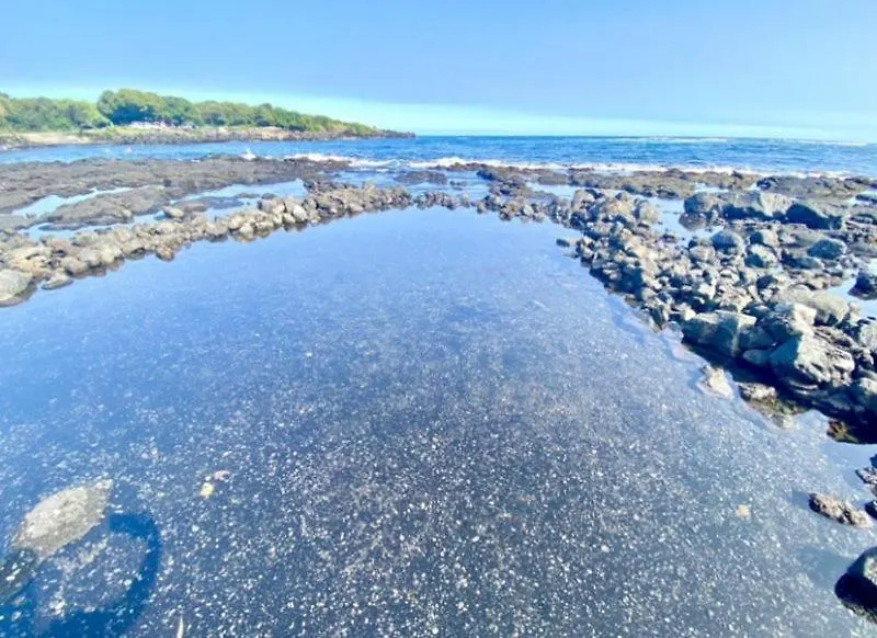 Beachfront 1 Bedroom Condo With Private Beach, Pool, Hot Tub Pahala