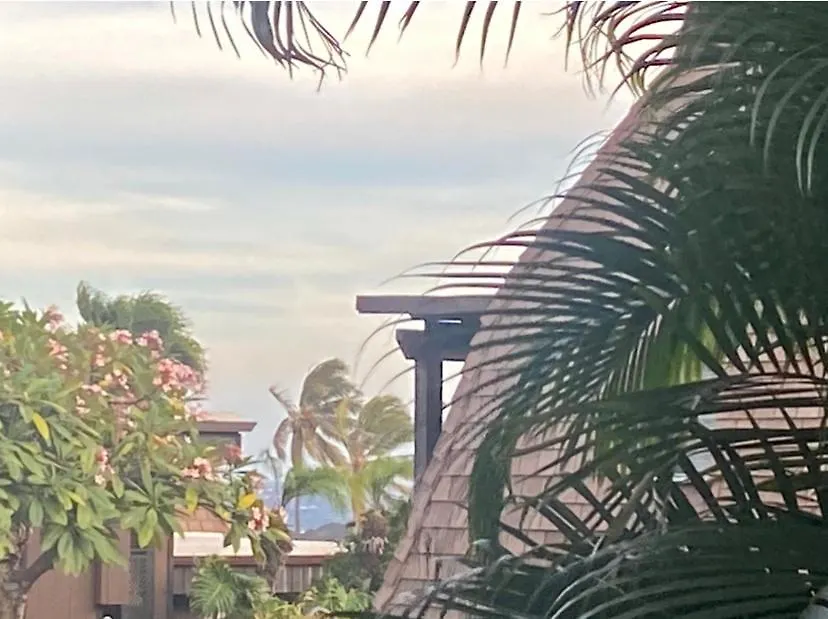 Aparthotel Beachfront 1 Bedroom Condo With Private Beach, Pool, Hot Tub Pahala
